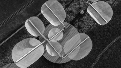 Structural Botany: 26MY–804–47