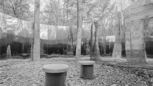 Secret Forest